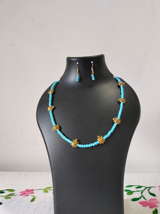 The Turquoise Tranquility Tortoise Set