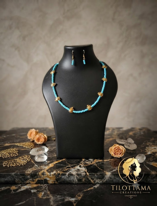 The Turquoise Tranquility Tortoise Set