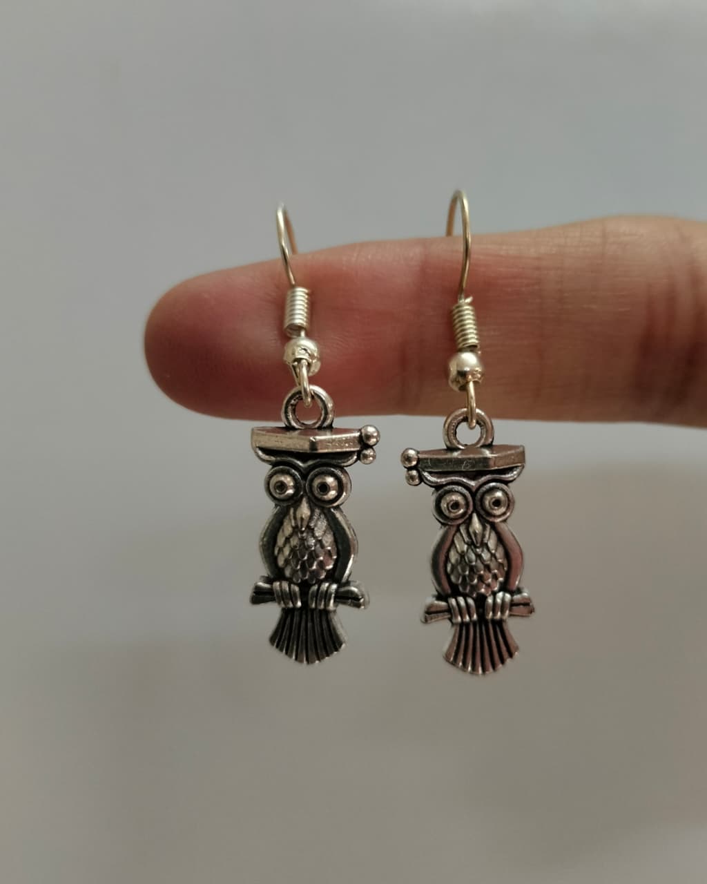 Wise Scholar Owl Earrings